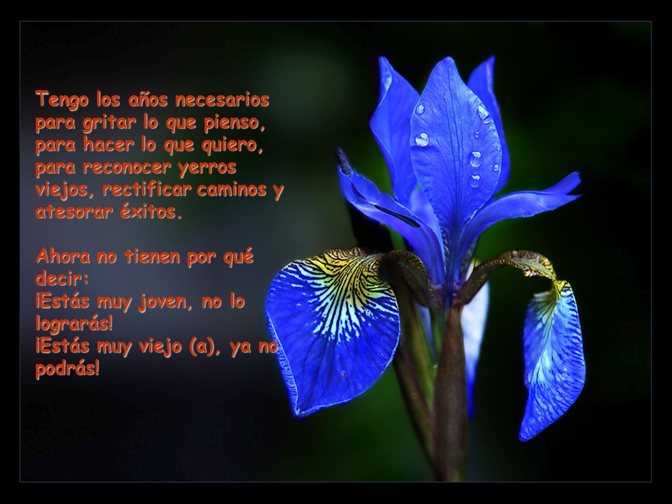Tengo los años necesarios para gritar lo que pienso, para hacer lo que quiero, para reconocer yerros viejos, rectificar caminos y atesorar éxitos.