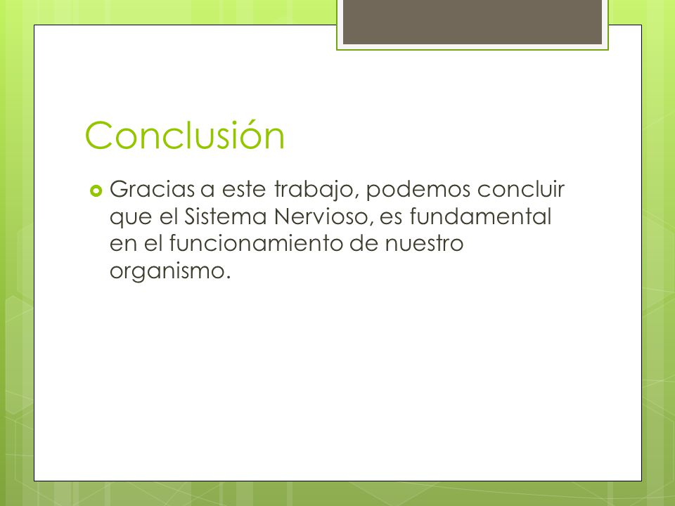 Conclusión Gracias a este trabajo, podemos concluir que el Sistema Nervioso, es fundamental en el funcionamiento de nuestro organismo.