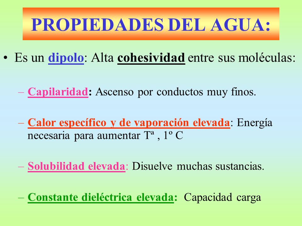 PROPIEDADES DEL AGUA: Es un dipolo: Alta cohesividad entre sus moléculas: Capilaridad: Ascenso por conductos muy finos.