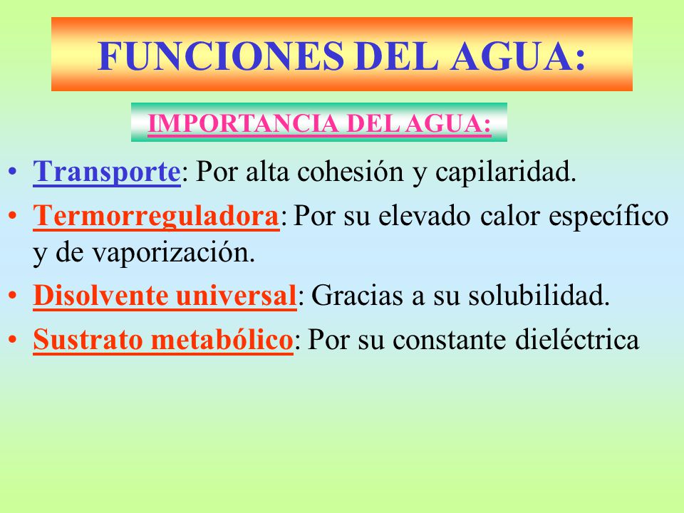 FUNCIONES DEL AGUA: Transporte: Por alta cohesión y capilaridad.