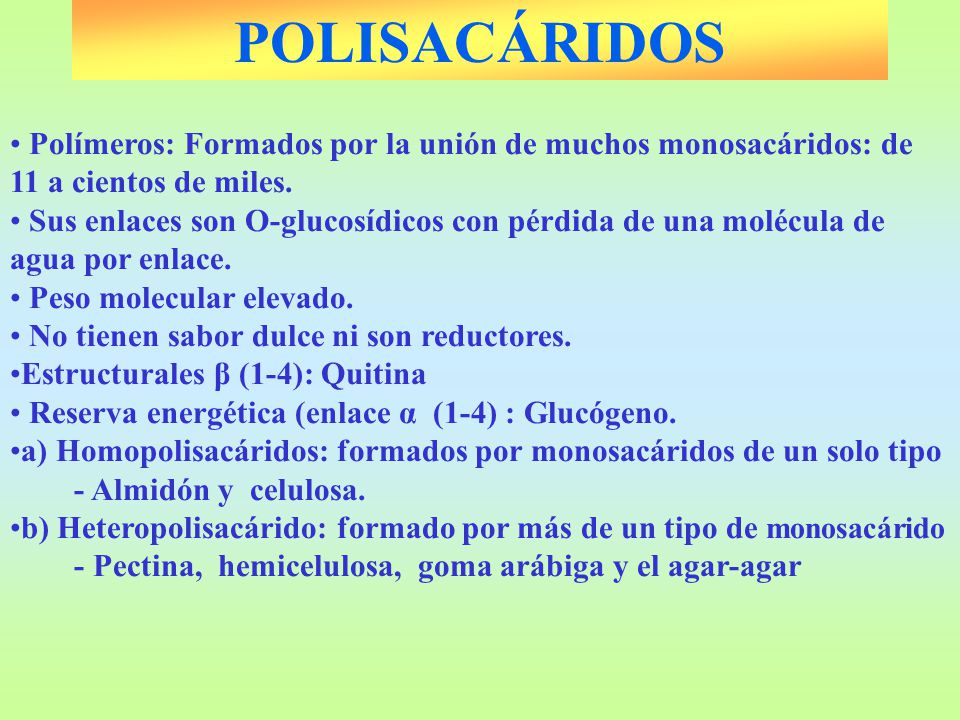 POLISACÁRIDOS Polímeros: Formados por la unión de muchos monosacáridos: de 11 a cientos de miles.
