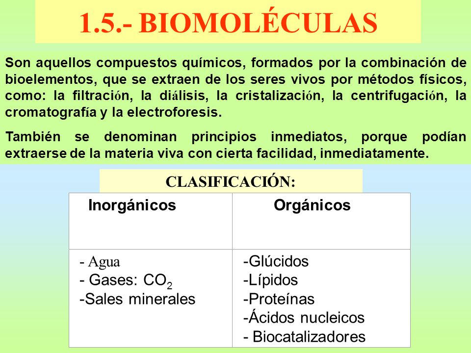 1.5.- BIOMOLÉCULAS CLASIFICACIÓN: - Agua - Gases: CO2 -Sales minerales