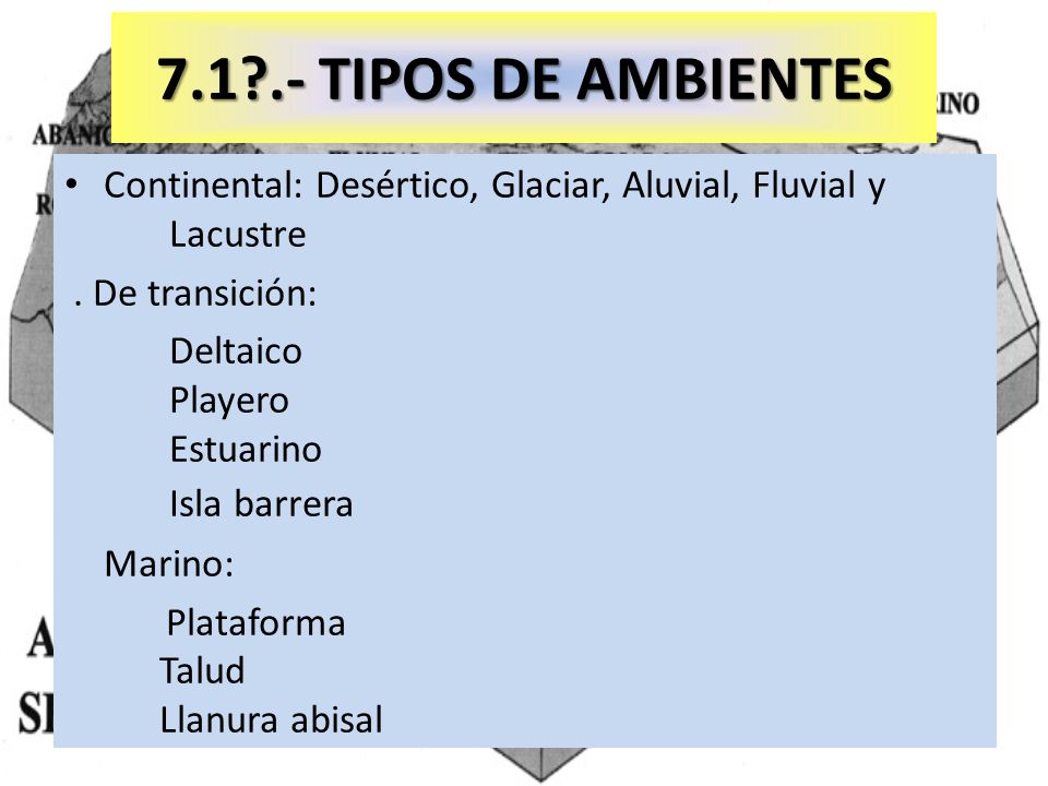 TIPOS DE AMBIENTES Continental: Desértico, Glaciar, Aluvial, Fluvial y Lacustre. . De transición: