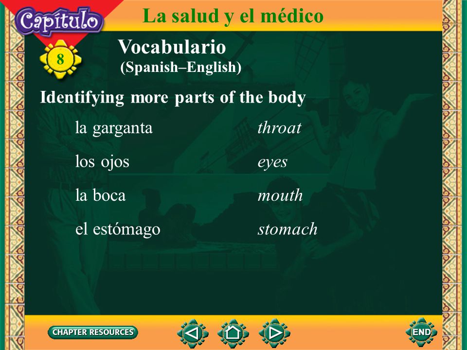 La salud y el médico Vocabulario Identifying more parts of the body