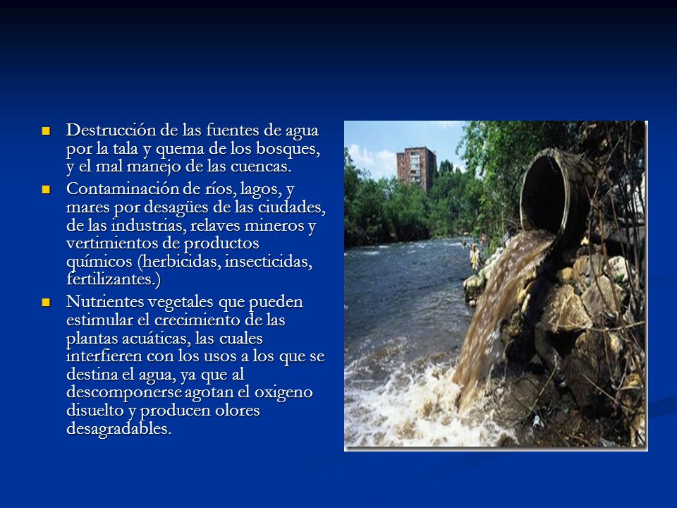 Destrucción de las fuentes de agua por la tala y quema de los bosques, y el mal manejo de las cuencas.