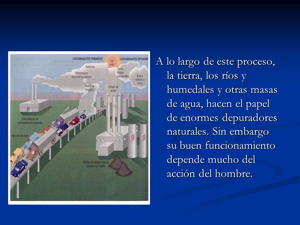 A lo largo de este proceso, la tierra, los ríos y humedales y otras masas de agua, hacen el papel de enormes depuradores naturales.