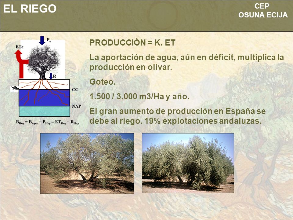 EL RIEGO PRODUCCIÓN = K. ET