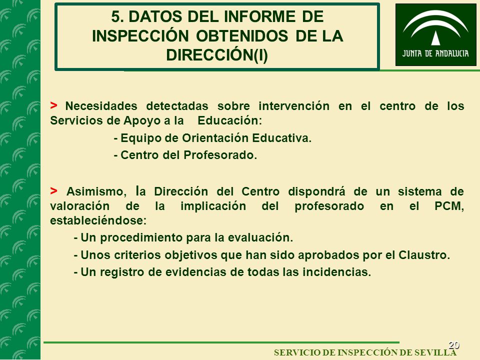 5. DATOS DEL INFORME DE INSPECCIÓN OBTENIDOS DE LA DIRECCIÓN(I)