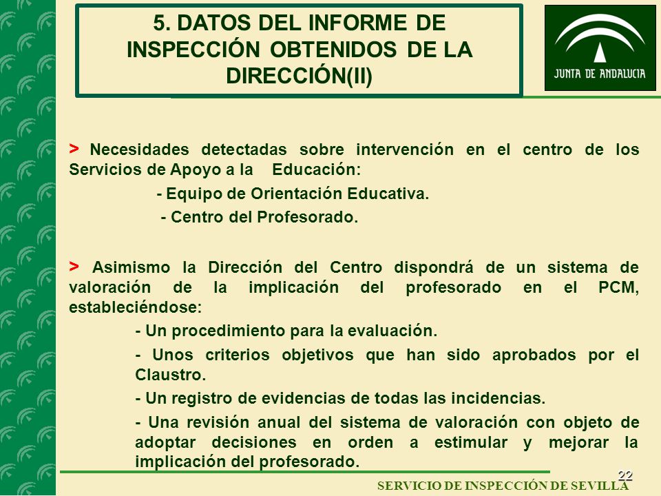 5. DATOS DEL INFORME DE INSPECCIÓN OBTENIDOS DE LA DIRECCIÓN(II)