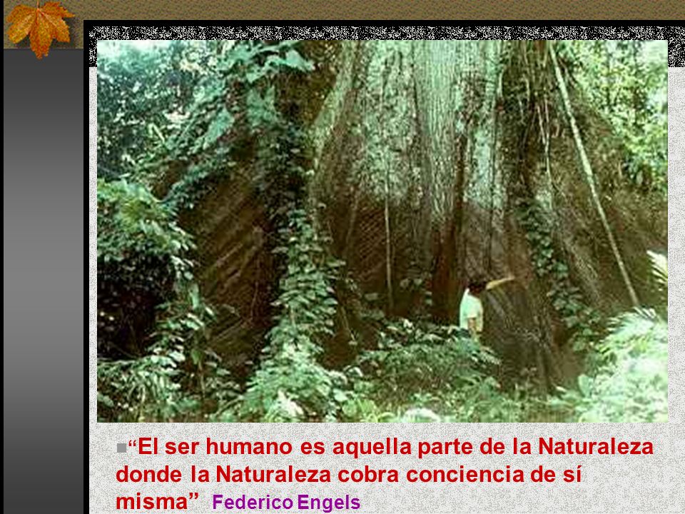 El ser humano es aquella parte de la Naturaleza donde la Naturaleza cobra conciencia de sí misma Federico Engels