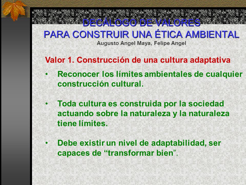 DECÁLOGO DE VALORES PARA CONSTRUIR UNA ÉTICA AMBIENTAL Augusto Angel Maya, Felipe Angel