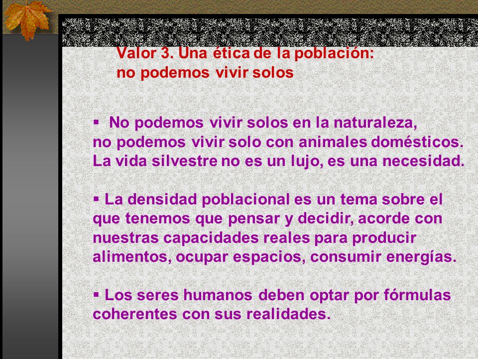 Valor 3. Una ética de la población: no podemos vivir solos