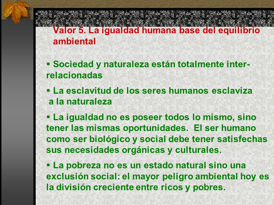 Valor 5. La igualdad humana base del equilibrio ambiental