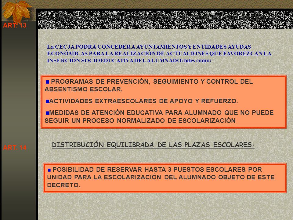 COLABORACIÓN DE AYUNTAMIENTOS Y ENTIDADES SIN ÁNIMO DE LUCRO: ART. 13