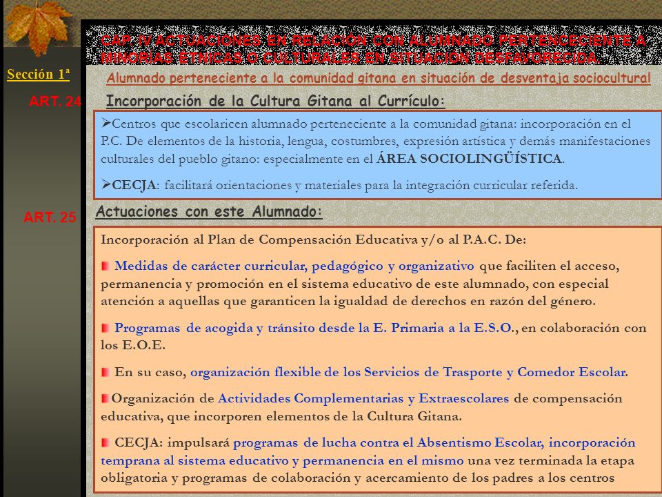 Incorporación de la Cultura Gitana al Currículo: