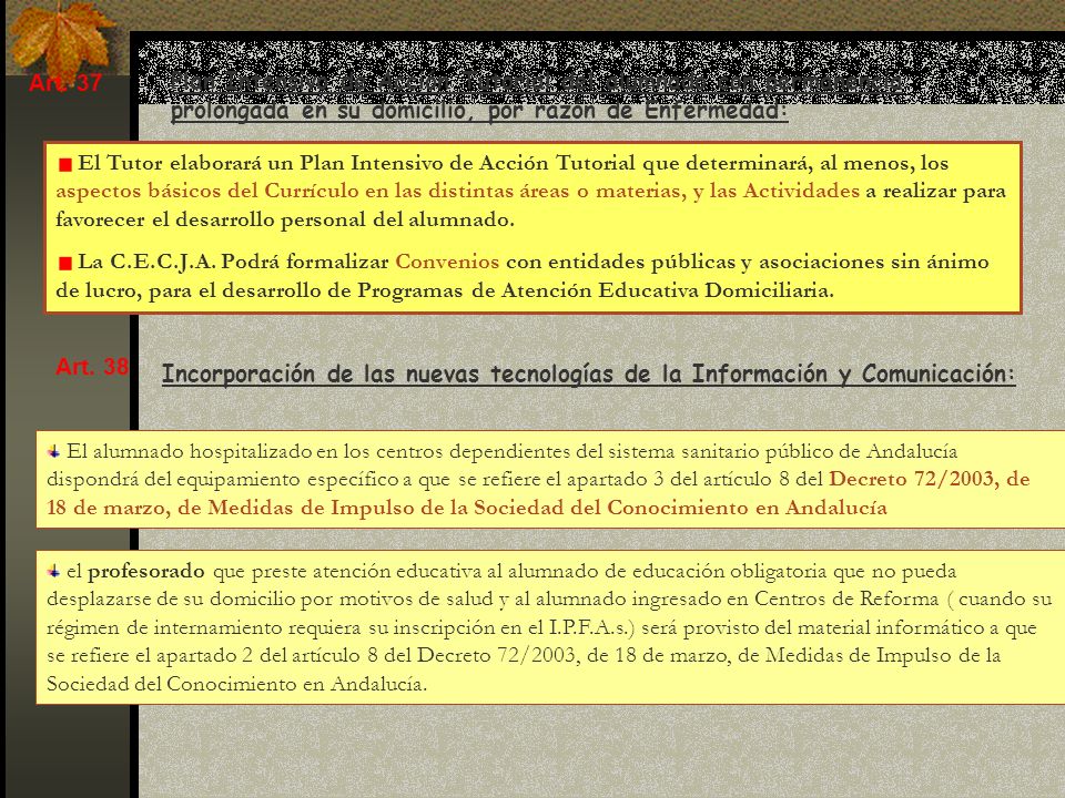 Art. 37 Plan Intensivo de Acción Tutorial del alumnado con permanencia prolongada en su domicilio, por razón de Enfermedad:
