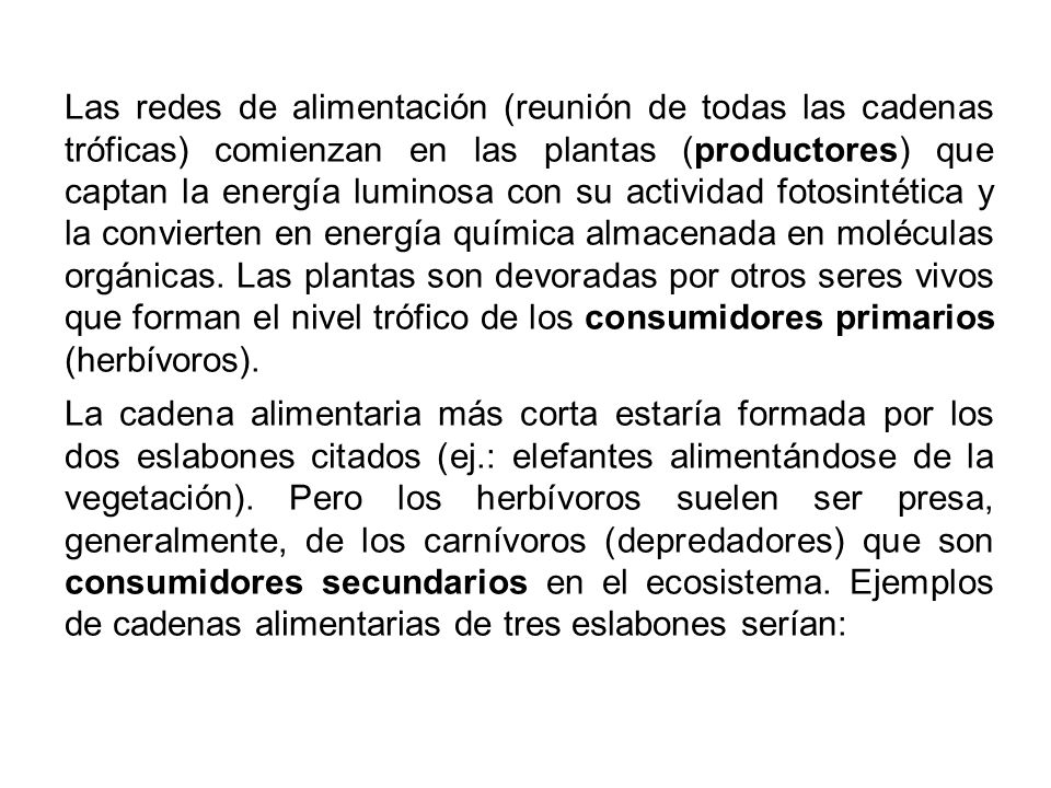 Las redes de alimentación (reunión de todas las cadenas tróficas) comienzan en las plantas (productores) que captan la energía luminosa con su actividad fotosintética y la convierten en energía química almacenada en moléculas orgánicas. Las plantas son devoradas por otros seres vivos que forman el nivel trófico de los consumidores primarios (herbívoros).