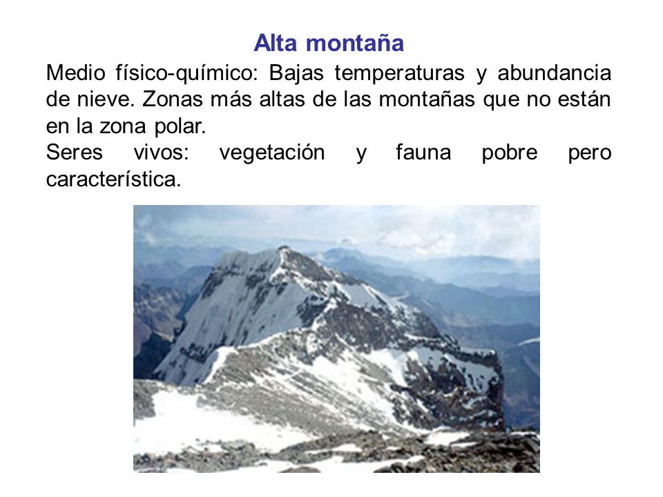 Alta montaña Medio físico-químico: Bajas temperaturas y abundancia de nieve. Zonas más altas de las montañas que no están en la zona polar.