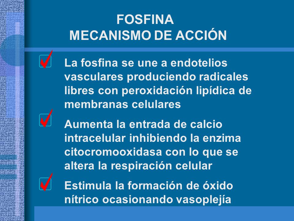FOSFINA MECANISMO DE ACCIÓN La fosfina se une a endotelios