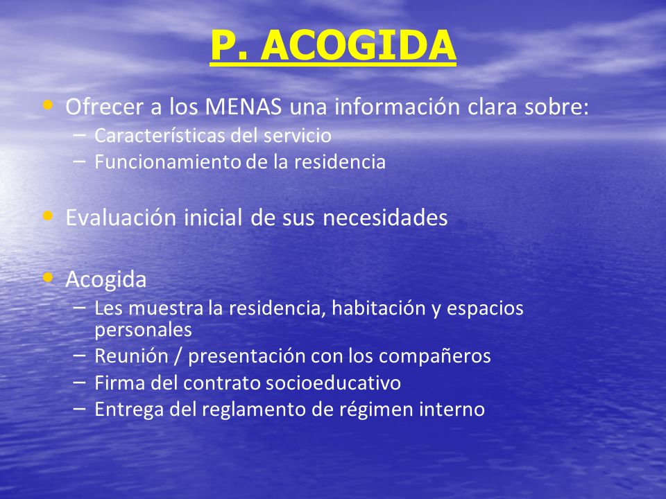 P. ACOGIDA Ofrecer a los MENAS una información clara sobre:
