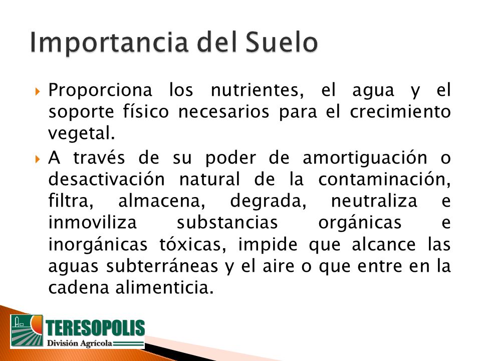 Importancia del Suelo Proporciona los nutrientes, el agua y el soporte físico necesarios para el crecimiento vegetal.