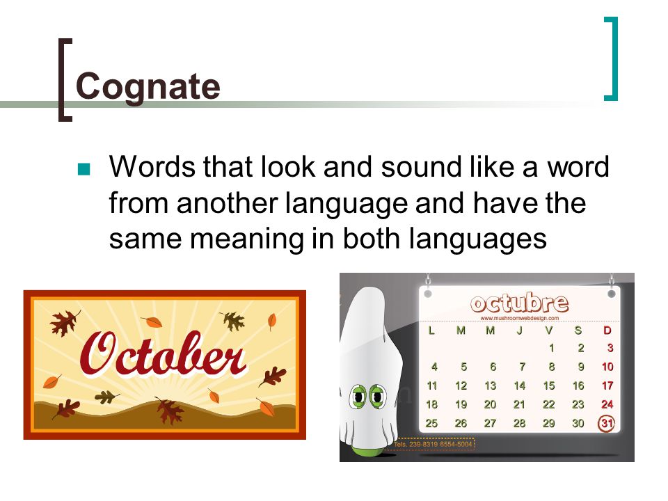 Cognate Words that look and sound like a word from another language and have the same meaning in both languages.