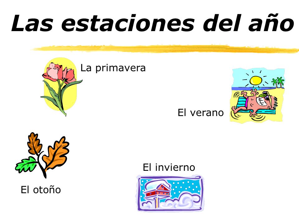 Las estaciones del año La primavera El verano El otoño El invierno
