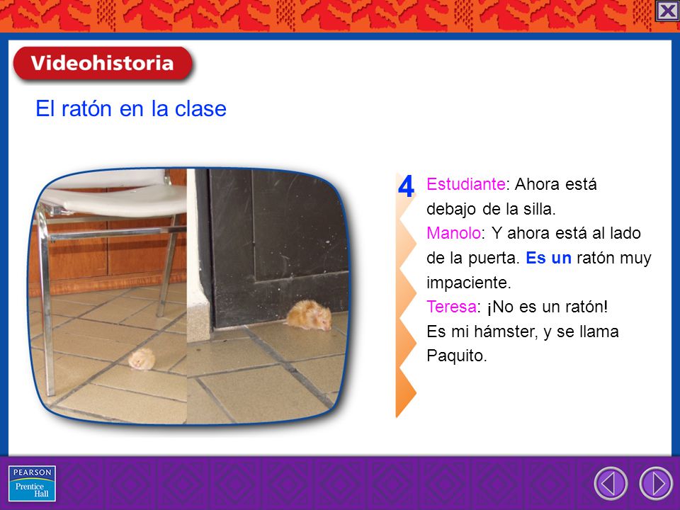 4 El ratón en la clase Estudiante: Ahora está debajo de la silla.
