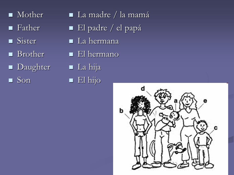 Mother Father. Sister. Brother. Daughter. Son. La madre / la mamá. El padre / el papá. La hermana.