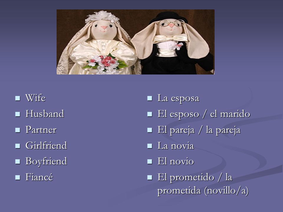 Wife Husband. Partner. Girlfriend. Boyfriend. Fiancé. La esposa. El esposo / el marido. El pareja / la pareja.