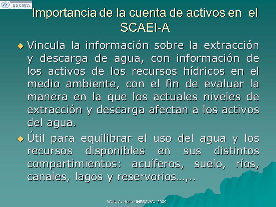 Importancia de la cuenta de activos en el SCAEI-A