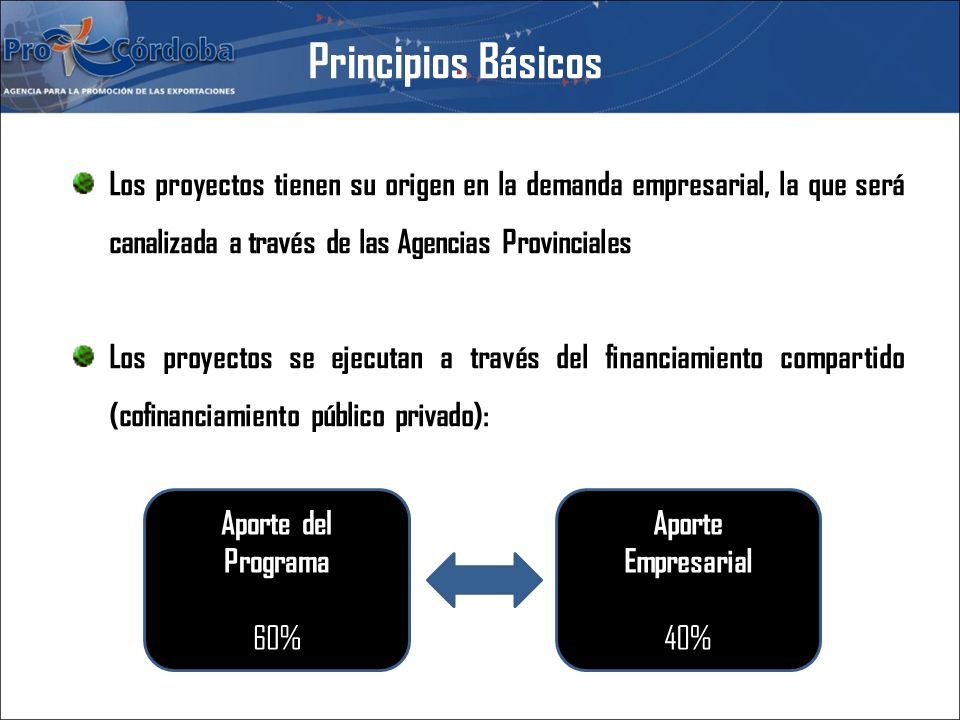 Principios Básicos Los proyectos tienen su origen en la demanda empresarial, la que será canalizada a través de las Agencias Provinciales.