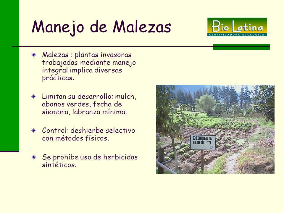 Manejo de Malezas Malezas : plantas invasoras trabajadas mediante manejo integral implica diversas prácticas.