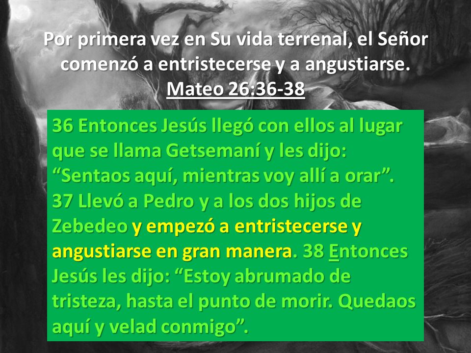 Por primera vez en Su vida terrenal, el Señor comenzó a entristecerse y a angustiarse. Mateo 26:36-38