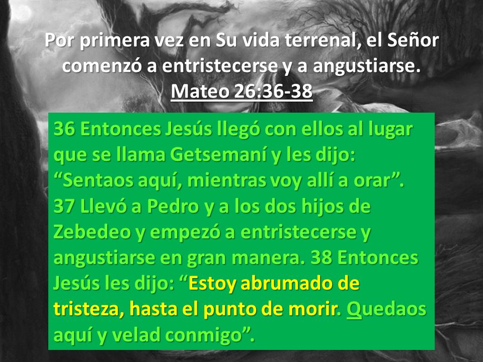 Por primera vez en Su vida terrenal, el Señor comenzó a entristecerse y a angustiarse. Mateo 26:36-38