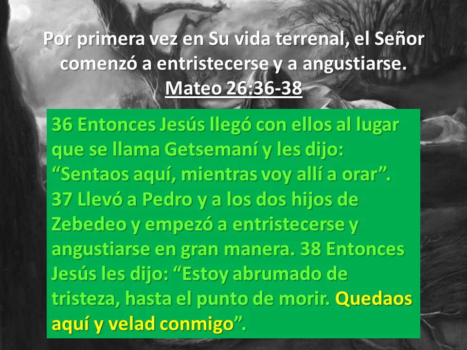 Por primera vez en Su vida terrenal, el Señor comenzó a entristecerse y a angustiarse. Mateo 26:36-38