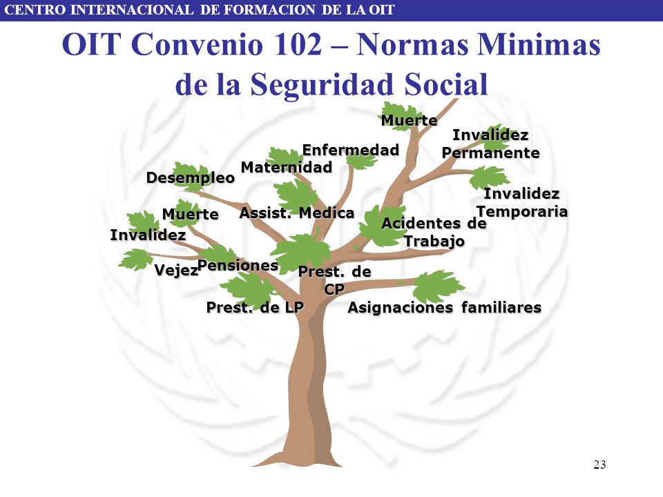 OIT Convenio 102 – Normas Minimas de la Seguridad Social