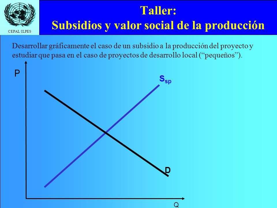 Taller: Subsidios y valor social de la producción