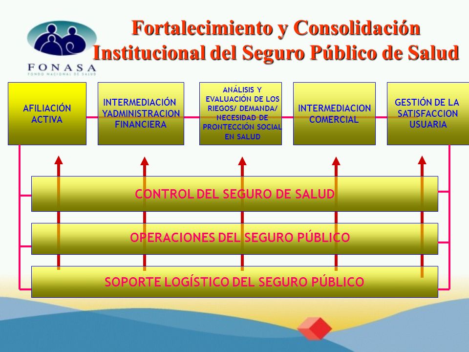 Fortalecimiento y Consolidación Institucional del Seguro Público de Salud