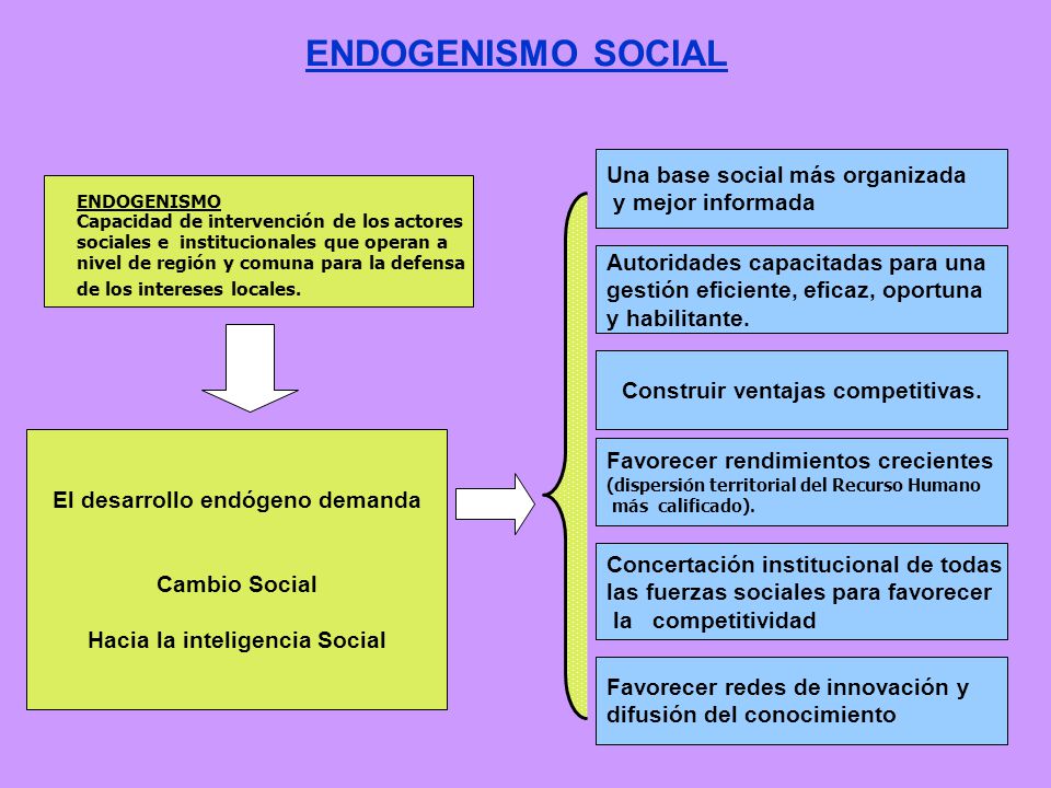 ENDOGENISMO SOCIAL Una base social más organizada y mejor informada
