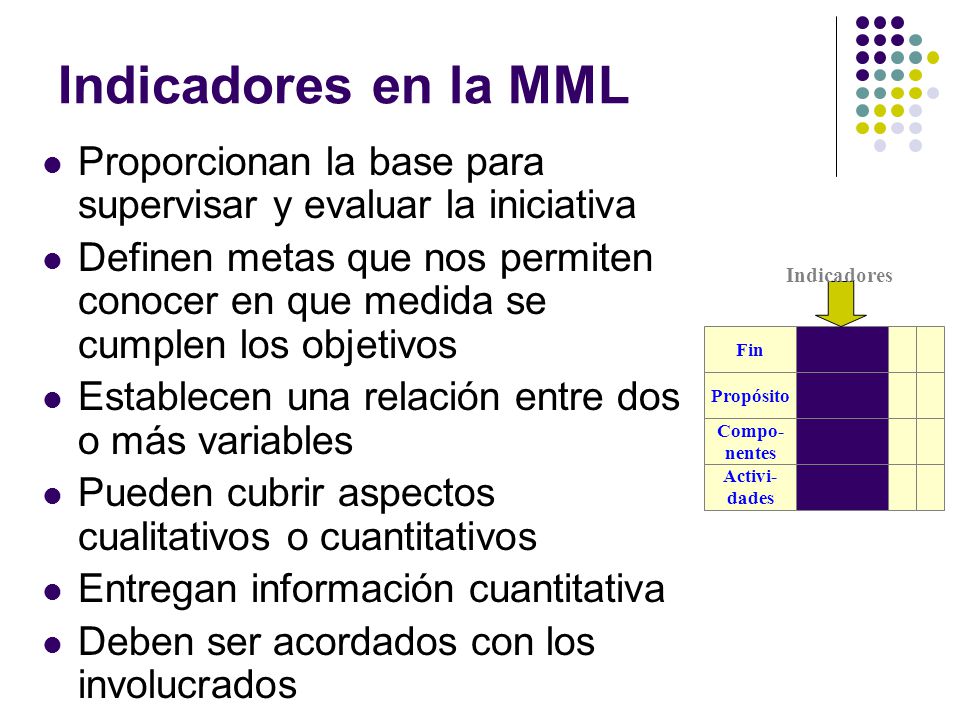 Indicadores en la MML Proporcionan la base para supervisar y evaluar la iniciativa.