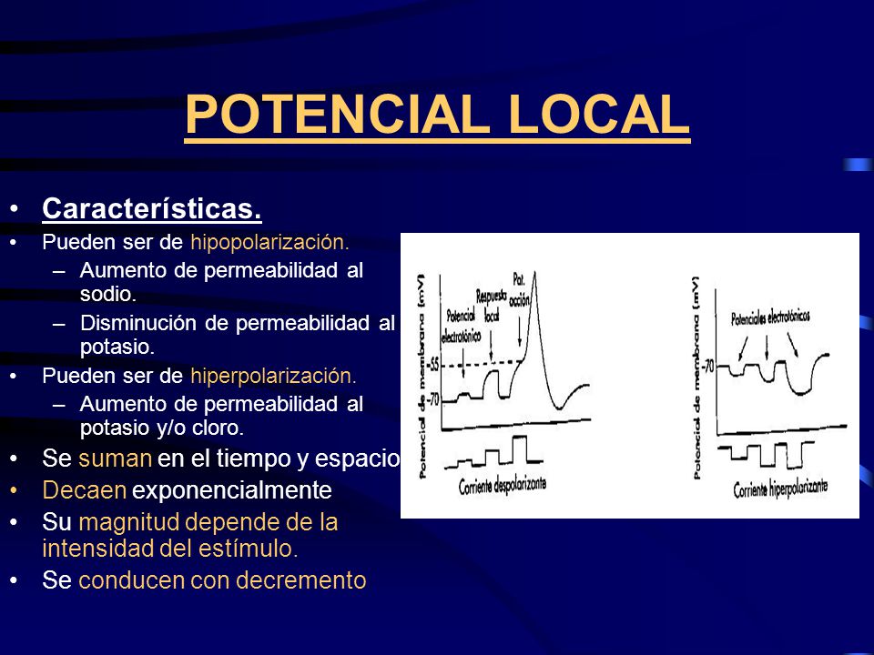 POTENCIAL LOCAL Características. Se suman en el tiempo y espacio