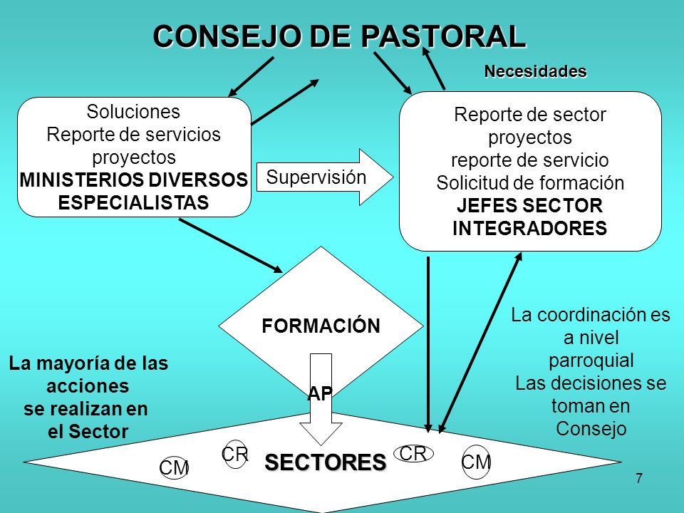CONSEJO DE PASTORAL SECTORES Soluciones Reporte de sector
