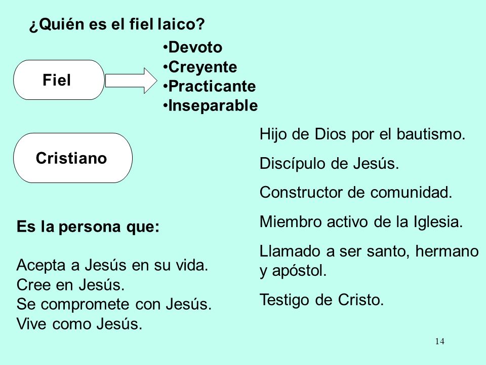 ¿Quién es el fiel laico Devoto. Creyente. Practicante. Inseparable. Fiel. Hijo de Dios por el bautismo.