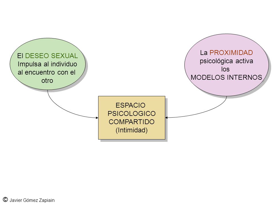La PROXIMIDAD psicológica activa. los. MODELOS INTERNOS. El DESEO SEXUAL. Impulsa al individuo.