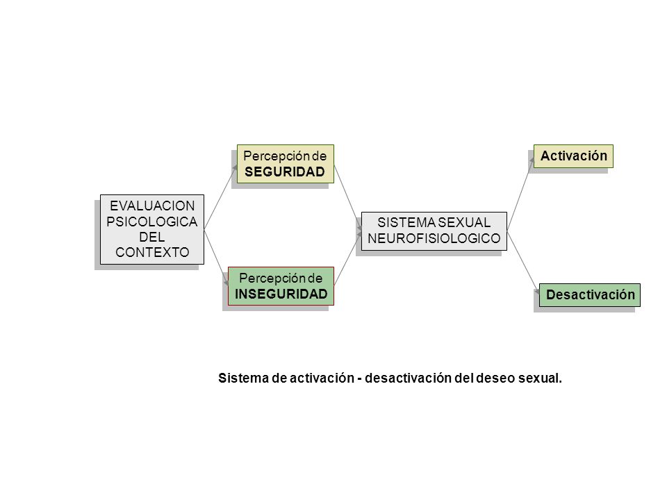 Percepción de SEGURIDAD. Activación. EVALUACION. PSICOLOGICA. DEL. CONTEXTO. SISTEMA SEXUAL. NEUROFISIOLOGICO.