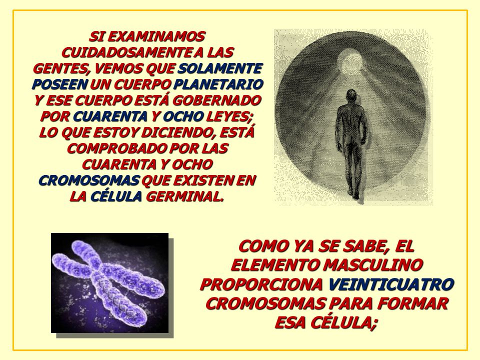 SI EXAMINAMOS CUIDADOSAMENTE A LAS GENTES, VEMOS QUE SOLAMENTE POSEEN UN CUERPO PLANETARIO Y ESE CUERPO ESTÁ GOBERNADO POR CUARENTA Y OCHO LEYES; LO QUE ESTOY DICIENDO, ESTÁ COMPROBADO POR LAS CUARENTA Y OCHO CROMOSOMAS QUE EXISTEN EN LA CÉLULA GERMINAL.