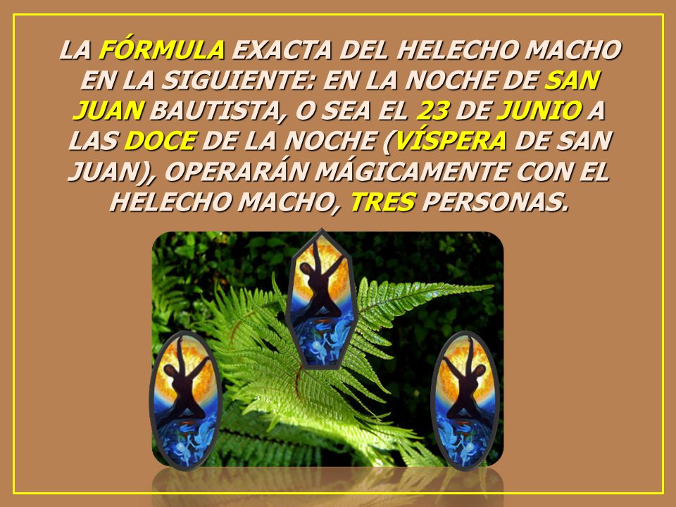 LA FÓRMULA EXACTA DEL HELECHO MACHO EN LA SIGUIENTE: EN LA NOCHE DE SAN JUAN BAUTISTA, O SEA EL 23 DE JUNIO A LAS DOCE DE LA NOCHE (VÍSPERA DE SAN JUAN), OPERARÁN MÁGICAMENTE CON EL HELECHO MACHO, TRES PERSONAS.