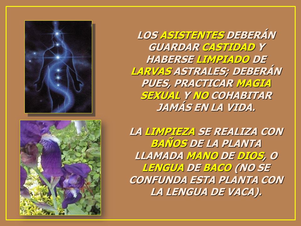 LOS ASISTENTES DEBERÁN GUARDAR CASTIDAD Y HABERSE LIMPIADO DE LARVAS ASTRALES; DEBERÁN PUES, PRACTICAR MAGIA SEXUAL Y NO COHABITAR JAMÁS EN LA VIDA.