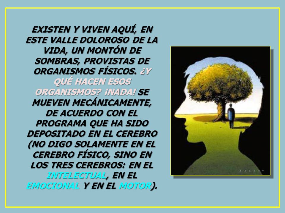 EXISTEN Y VIVEN AQUÍ, EN ESTE VALLE DOLOROSO DE LA VIDA, UN MONTÓN DE SOMBRAS, PROVISTAS DE ORGANISMOS FÍSICOS.